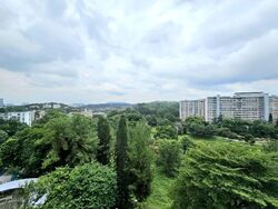 Blk 307 Clementi Meadows (Clementi), HDB 3 Rooms #588837411